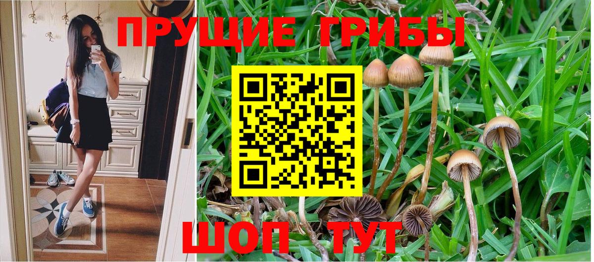 Псилоцибиновые грибы Psilocybine cubensis  где купить наркоту  Гулькевичи  Вход с VPN  Галлюциногенные грибы мухоморы 